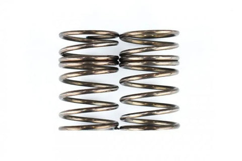 RDX Shock Spring (Rear 2pcs.) [Reve D] D1-SSR1